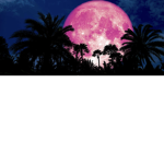 Divine moonz