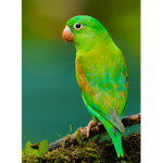 Mythic bird