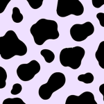 Cow Friends!!!
