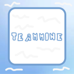 TeamMINE Community