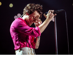 Harry Styles Tycoon