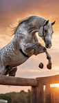 Lightning~horse riding~academy