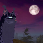 .+ Moon’Clan+.