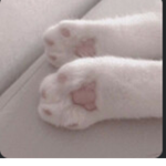 .~PaWs~.
