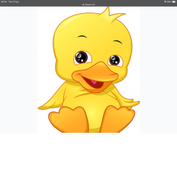 DUCKS Hangout