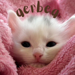 aerbea