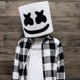 Marshmello Concert