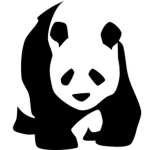 TeamPanda