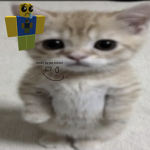 we r not rich