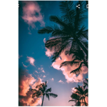 Aesthetic girly 5629