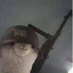 Aesthetic_Hamstersss