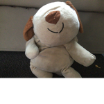 Super speedy teddies