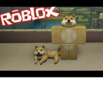 The Squad Of Boys and Group Of Many Dogs Revived!