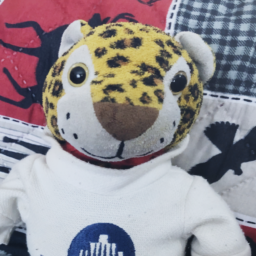 Jag's World