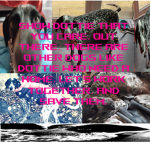 The No Animal Cruelty Group