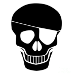 skullian studio's