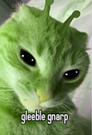 WickerKid's Silly Glorp Cats