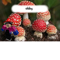 ASSASSIN TRAINING OBBY