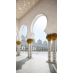 turkish masjid beta