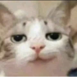 ɠųŋŋɛɖ ɖ۷ῳŋ