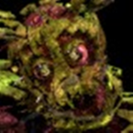 >Dormitabis Protection_