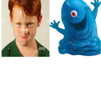 BOBS BLUE VS RANDYS RED