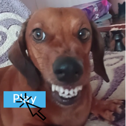 DOG THE HORROR (NEW UPDATE!)