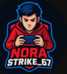 NoraGang