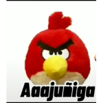 Wachin