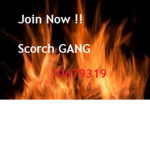 scorch gang