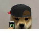 GOOD DOGGO GROUP
