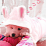 ytutu <3
