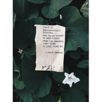 PoetVibes®