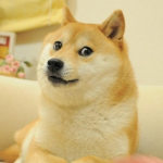 Sweet Doge Clothing!