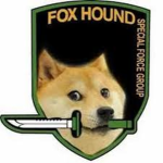 THE U.S. DOGE ARMY