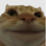 figglehorn inc