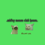 .mickey mouse club house.