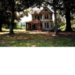 Home Of Flusome