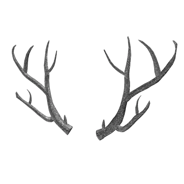 White Antlers
