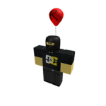 ROBLOX Forums?