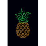 Kawaii Pineapples!!