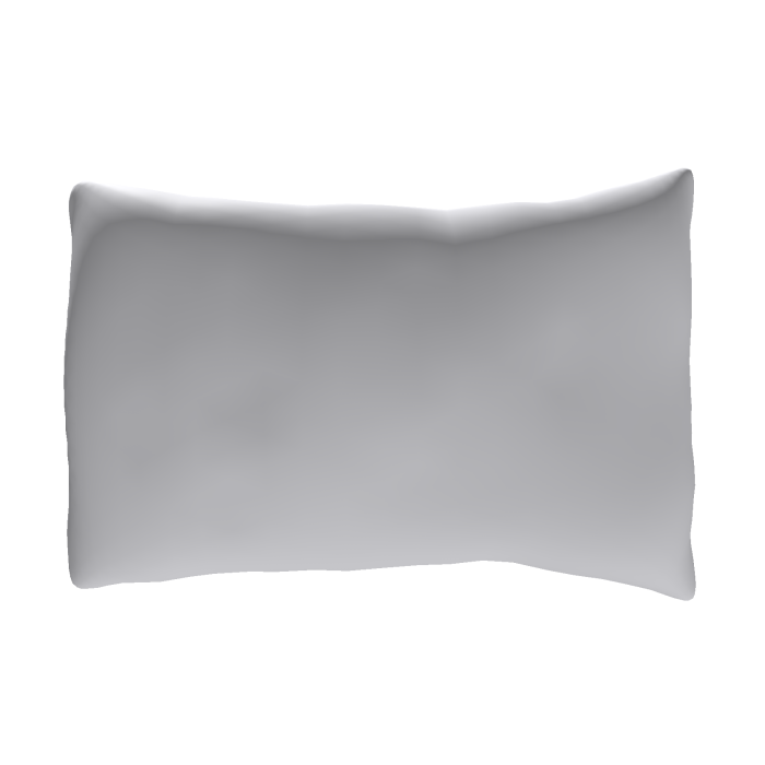 [R6]Holdable Pillow