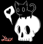 follow 4 follow backk