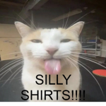 Silly Text Shirts