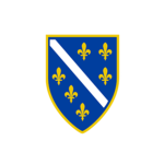 Bosnian Forces