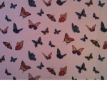 Anime butterfly’s