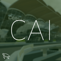 Cairo International