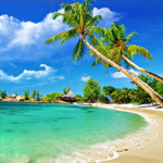 Beach Paradise Escape!