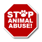 STOP animal cruelty! plz