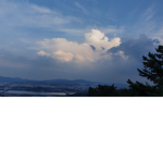 로블접 ### 회의실